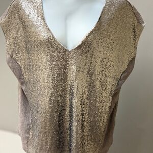 Stella & Dot Shimmering Sequin‎ V-Neck Blouse